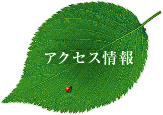 アクセス情報