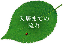 ご入居までの流れ