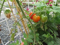 IMG_0913.JPG