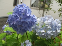 6月の出来事