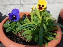 DSCN0002.JPG