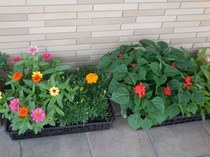 DSCN1306.JPG