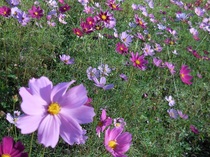 DSCN1948.JPG