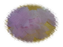 DSCN2637.JPG