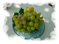 DSCN3555.JPG̻Ȱى摜