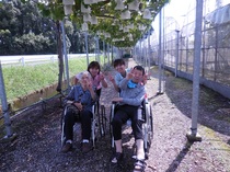 DSCN5133.JPG