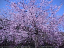 DSCN6110.JPG
