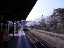 DSCN6118.JPG