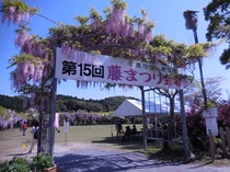DSCN6238.JPG