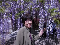 DSCN6242.JPG