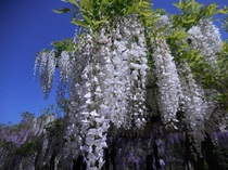 DSCN6246.JPG