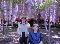 DSCN6270.JPG