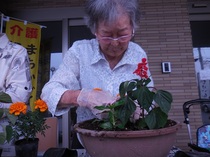 DSCN6418.JPG