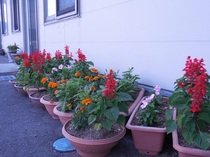DSCN6453.JPG