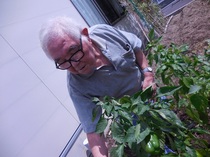 DSCN6785.JPG