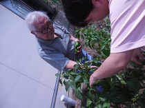 DSCN6787.JPG