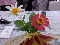 DSCN6982.JPG