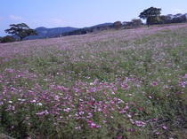 DSCN7080.JPG