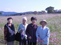 DSCN7085.JPG