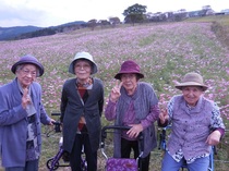 DSCN7175.JPG