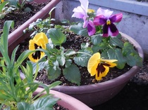 DSCN7434.JPG