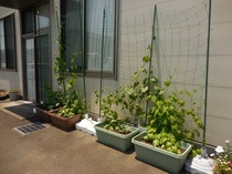 DSCN8123.JPG