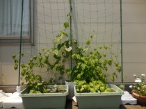 DSCN8125.JPG