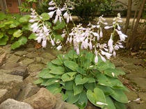 DSCN8166.JPG