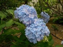 DSCN8168.JPG