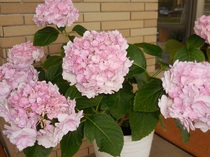DSCN8169.JPG
