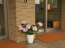 DSCN8170.JPG