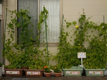 DSCN8172.JPG