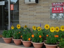 DSCN8274.JPG