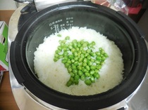 DSCN0309.JPG