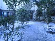 IMG_2574.JPG