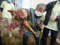 DSCN0184.JPG